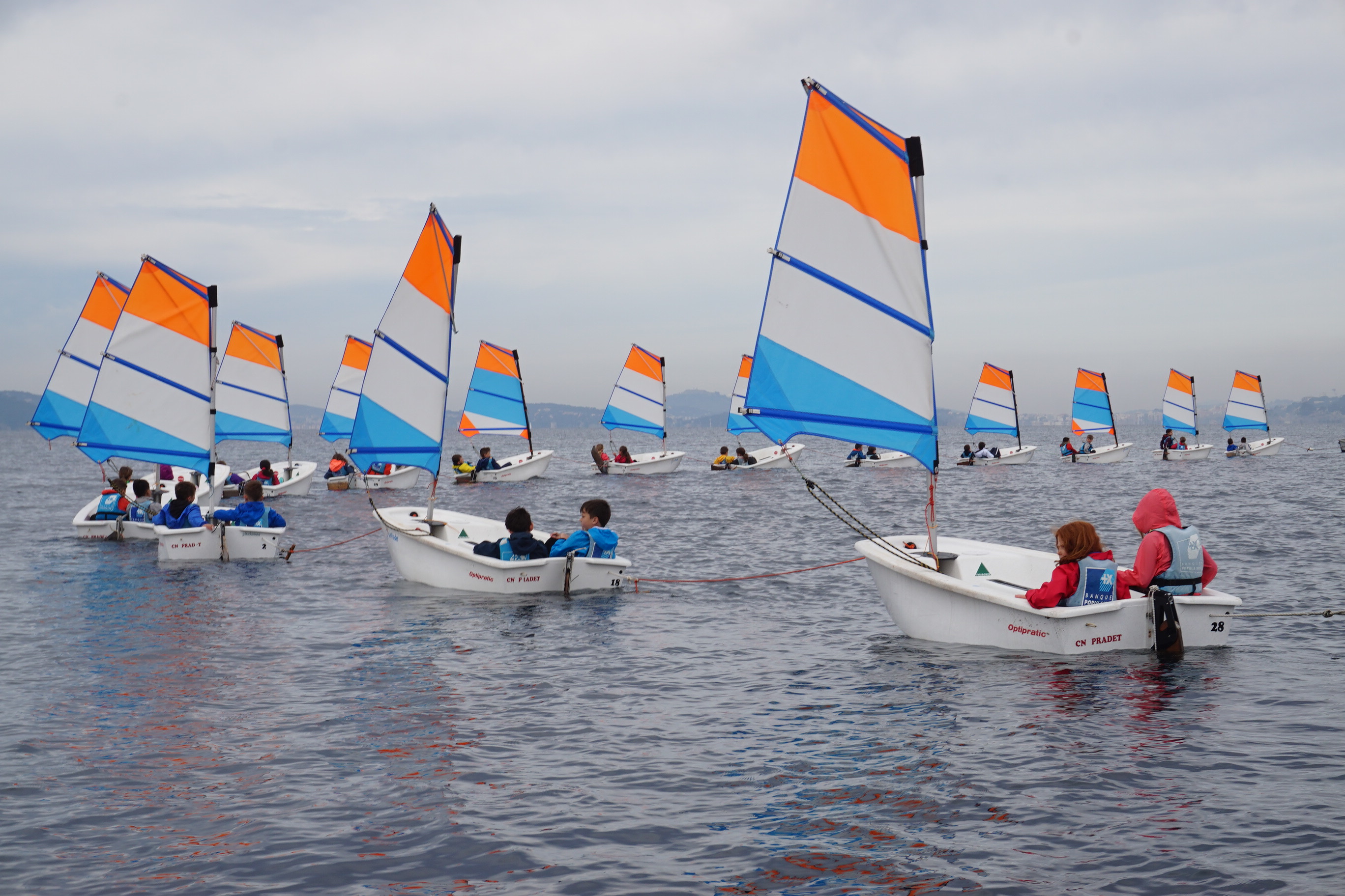 dsc06067.jpg Thumbnail